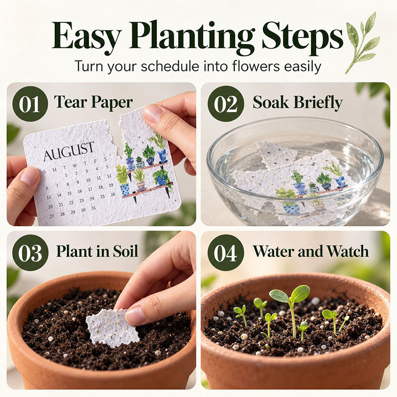 🇺🇸 🌱 2027 Plantable Desk Calendar — A Little Art. A New Beginning. 📅