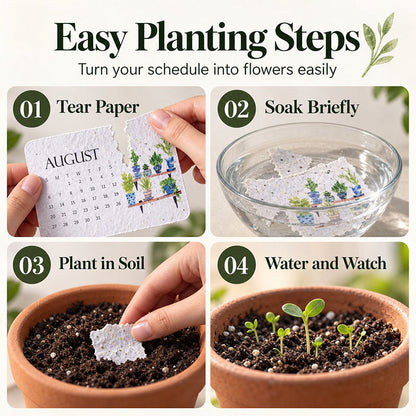 🇺🇸 🌱 2027 Plantable Desk Calendar — A Little Art. A New Beginning. 📅